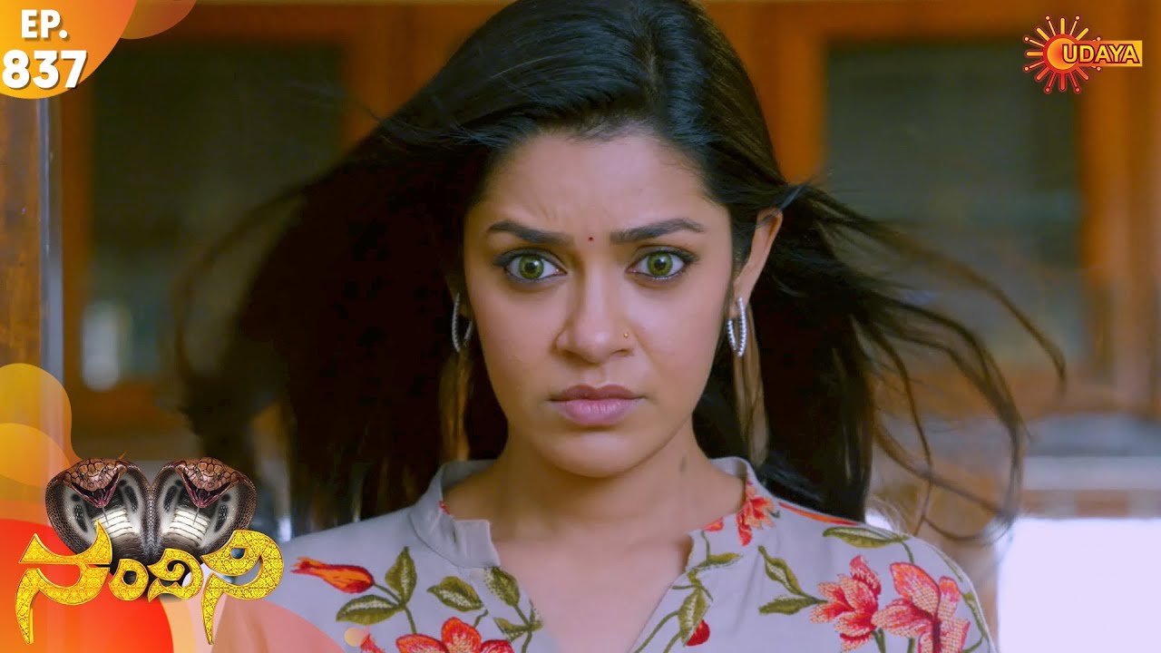 Nandini - Episode 837 | 3rd Jan 2020 | Udaya TV Serial | Kannada Serial