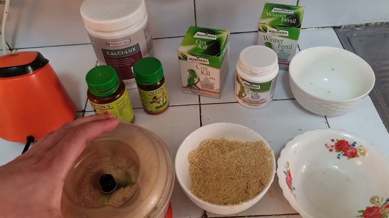 خلطة باتي و لا أروع لجميع انواع الطيور.نسيت ان أذكر أنه يمكننا أيضا خلط البكتيريا النافعة(بروبيوتيك)