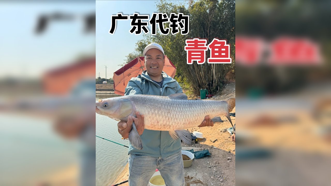 也没有代钓多少鱼，怎么老板这么吃惊