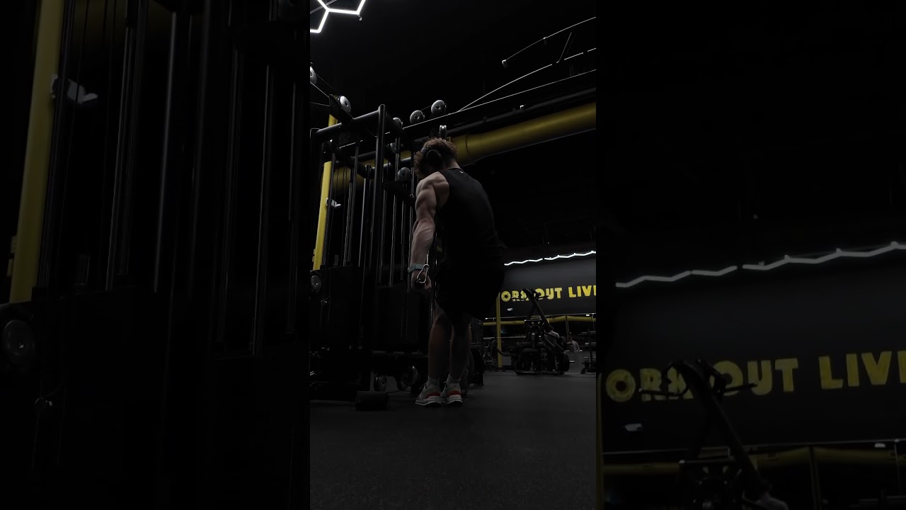 Wolf Fitness Palm Bay 