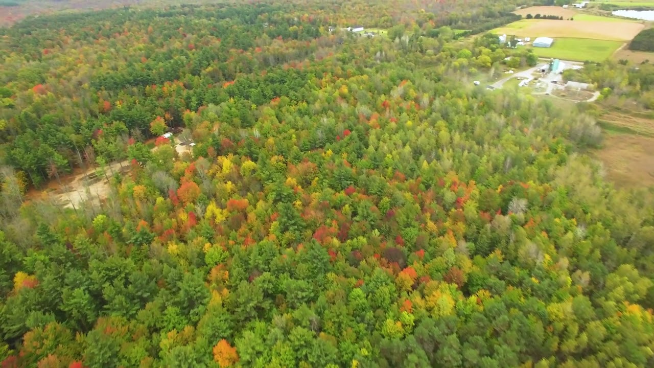 705 Boundary Rd. Mountain, ON