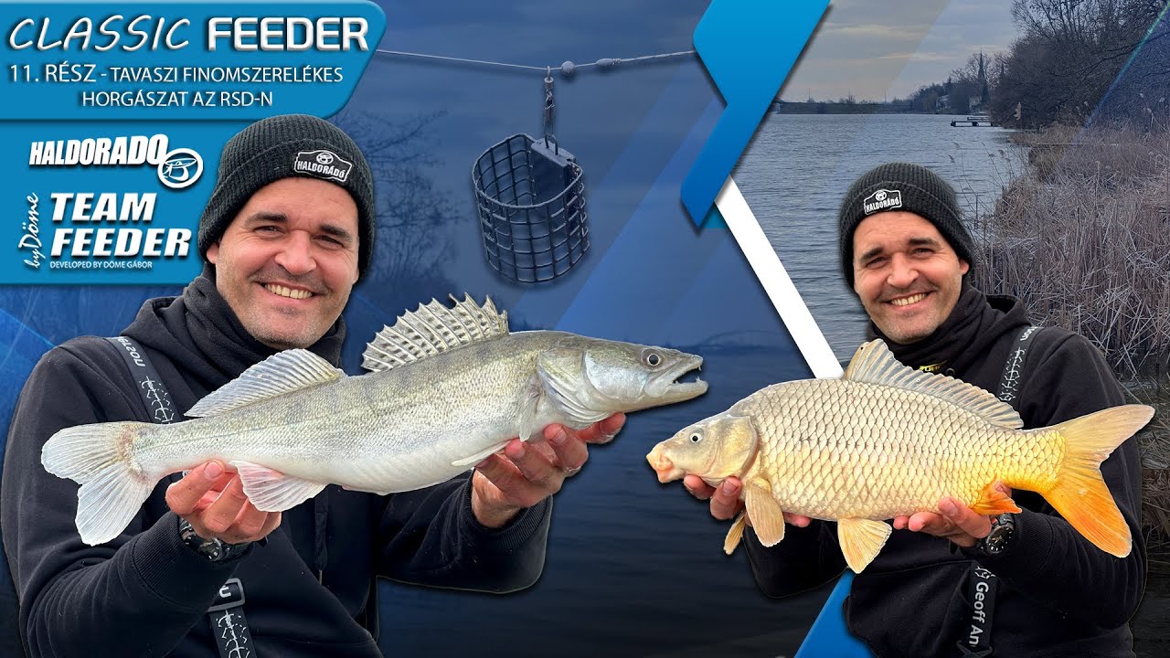 Sipos Gábor - A classic feeder 11. rész – Tavaszi finomszerelékes horgászat az RSD-n