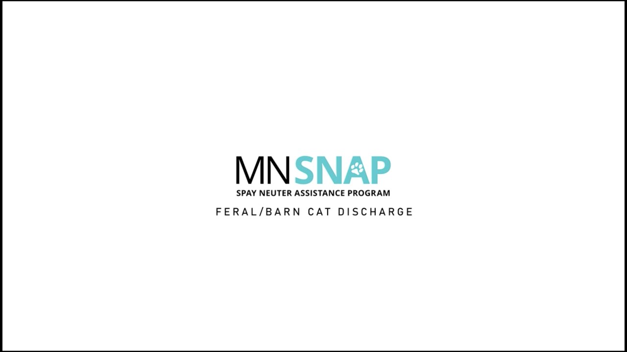 Feral and Barn Cat Go-Home Instructions