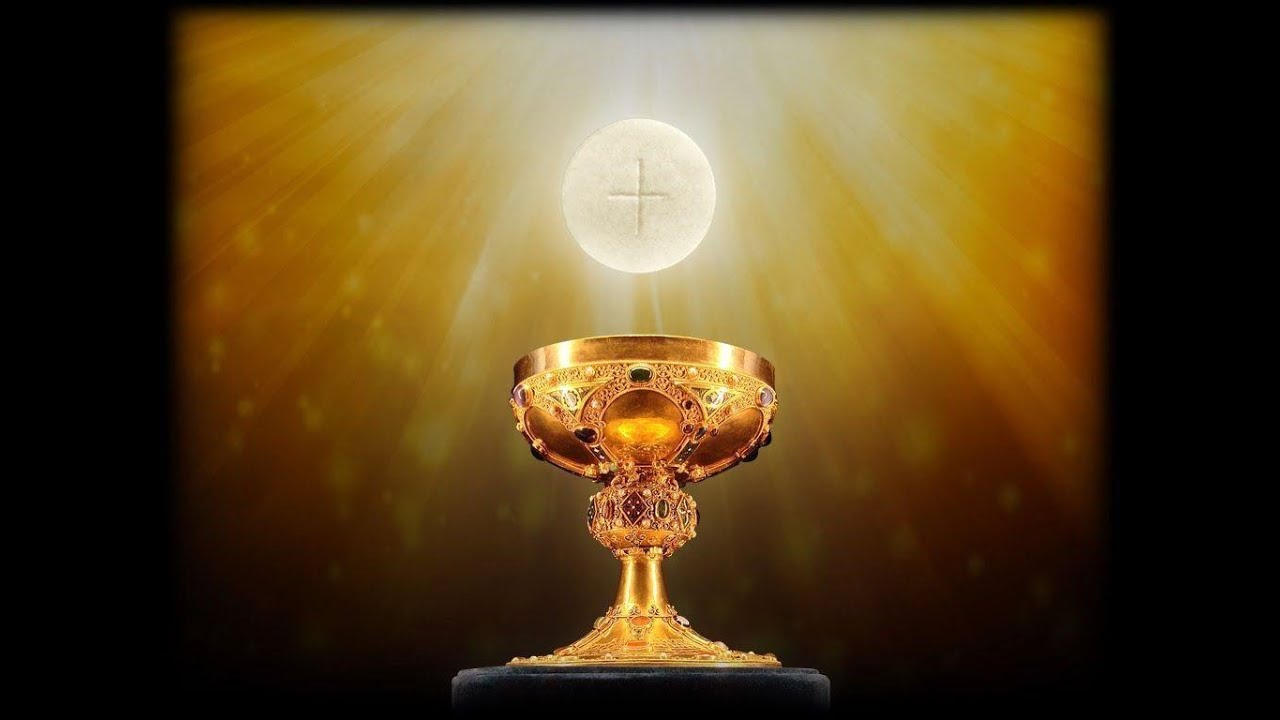 Friday Holy Mass & Novena   : Fr. Jijo Maliyekkal