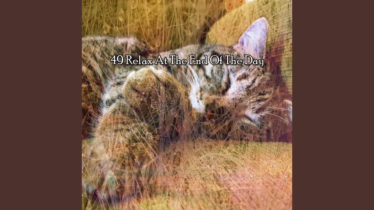 Dreamy World