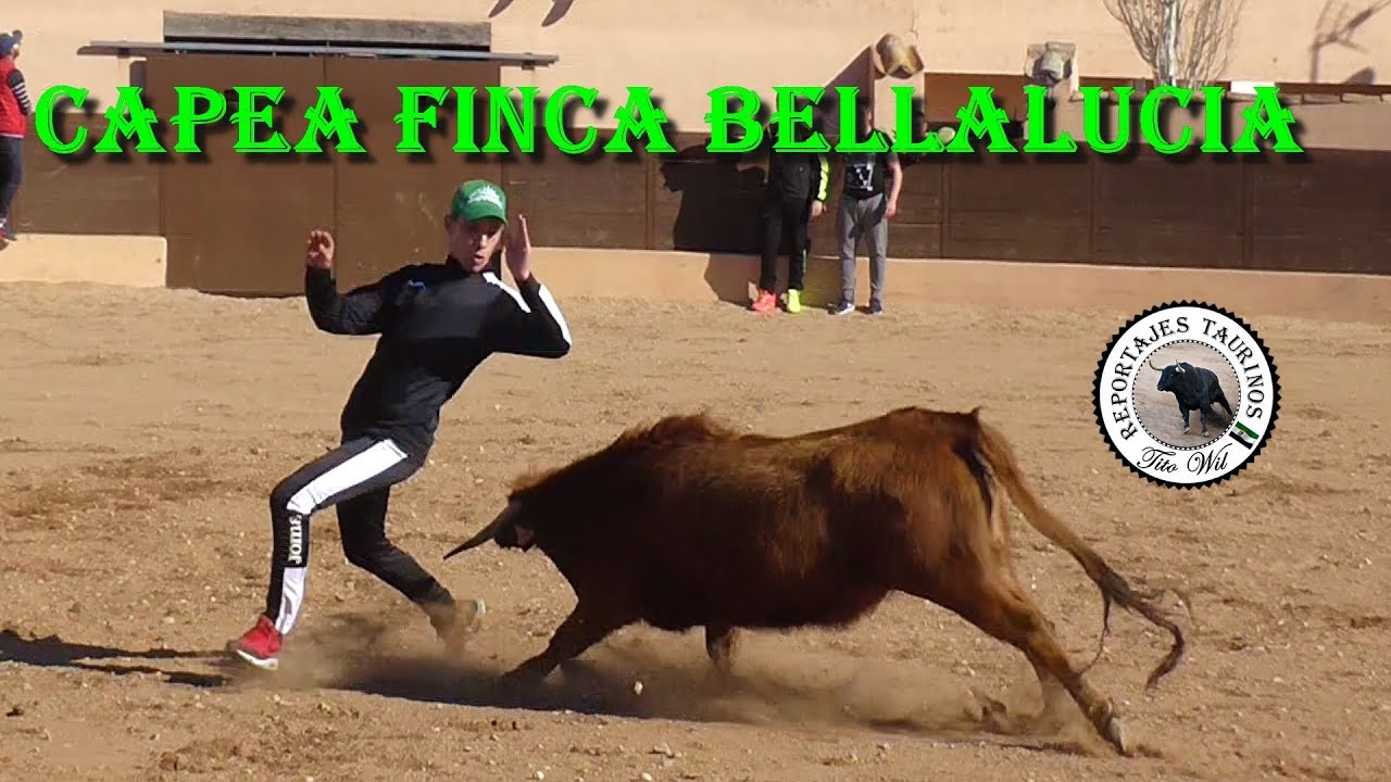 CAPEA FINCA BELLALUCIA CON GRANDE RECORTADORES
