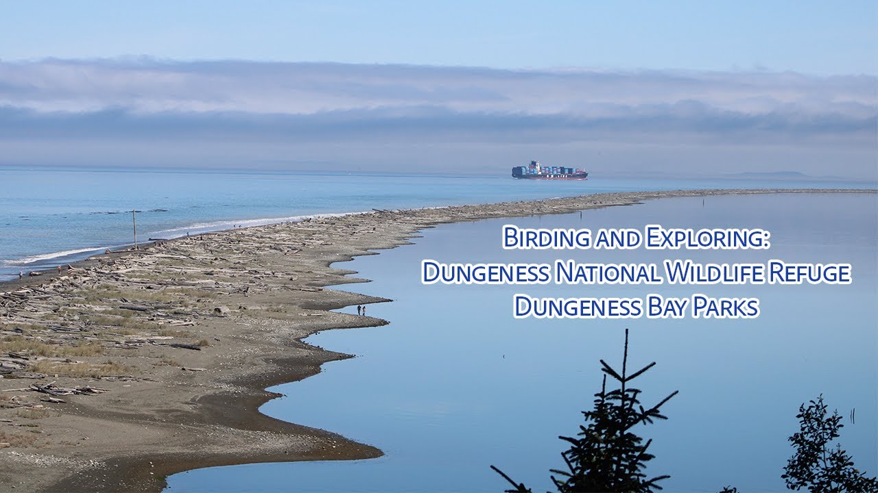 Spending a Day at the Dungeness Bay: Birding, Hiking, and Exploring!