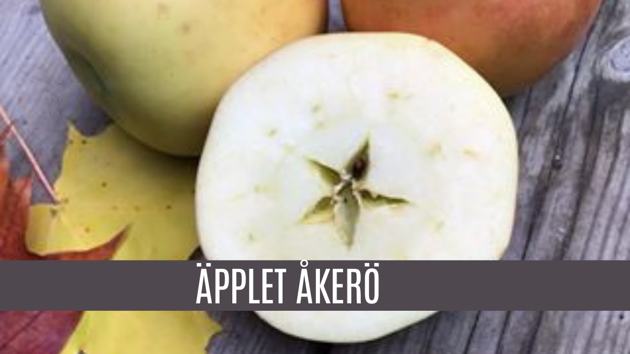 Äpplet Åkerö