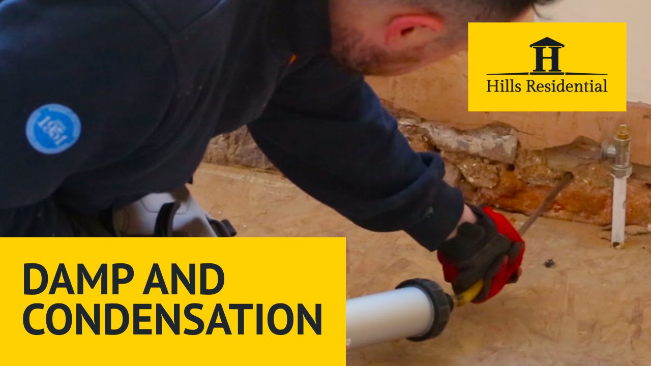 Damp, condensation, repairs, cures and costs!
