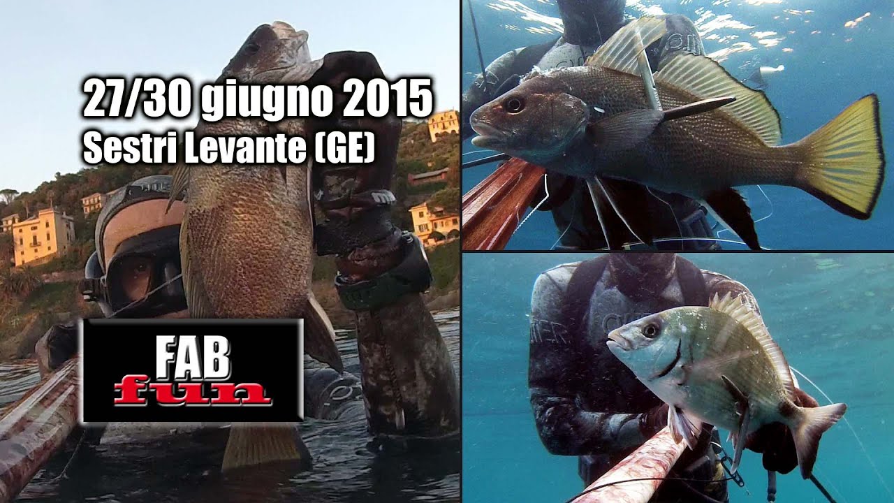 Pesca Sub | Liguria, Sestri: corvine e saraghi da 10 a 0 mt | Spearfishing, Chasse sous-marine