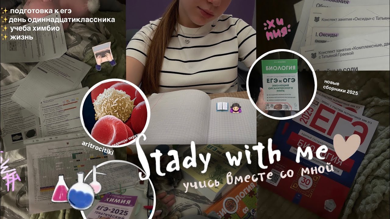 STUDY WITH ME: подготовка к экзаменам в 11 классе, учеба химбио, реакция на итоговое сочинение