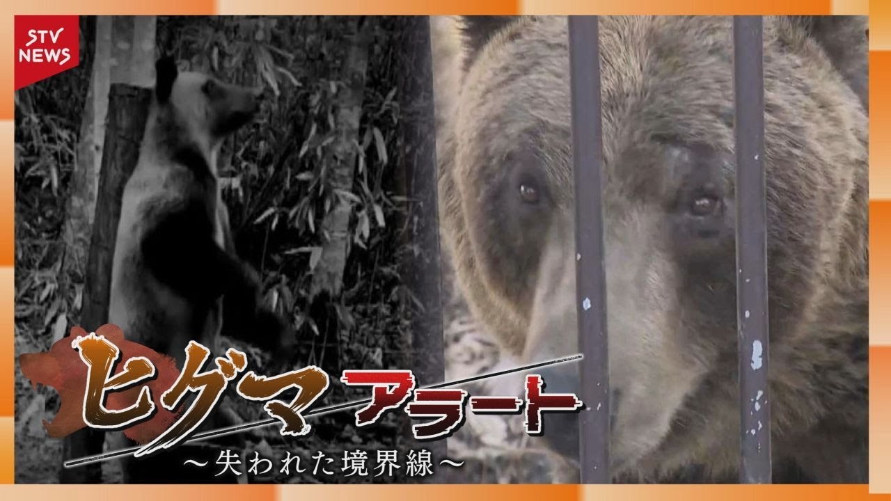 失われた境界線「ヒグマアラート」2年ぶりに人の命が奪われる事態に…STVどさんこドキュメント