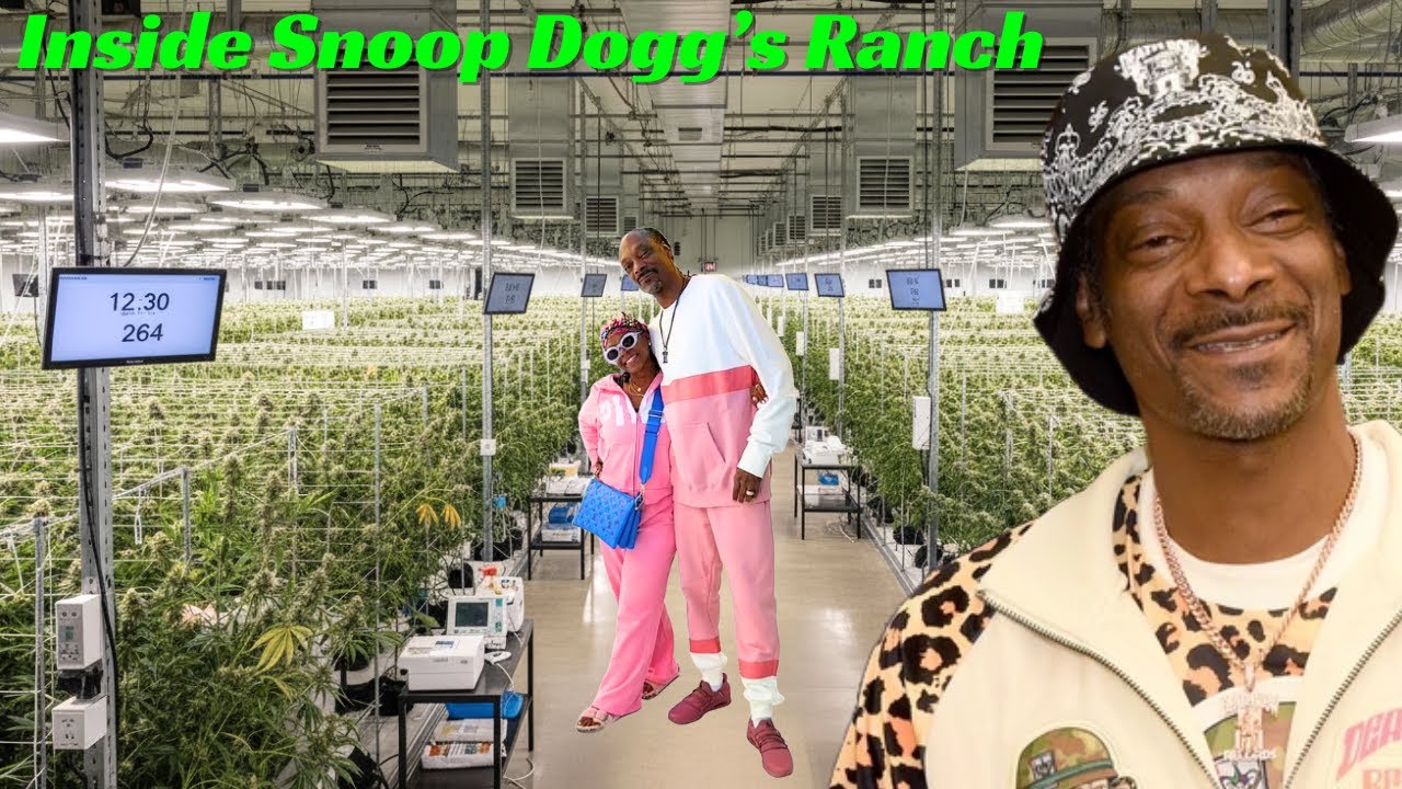 Inside Snoop Dogg&rsquo;s Cannabis Ranch &ndash; From humble beginnings to Secret Life