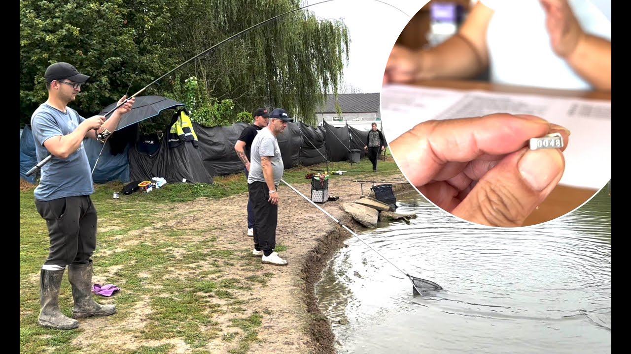 Pêche à la truite aux Étangs de Cilly : journée baguée