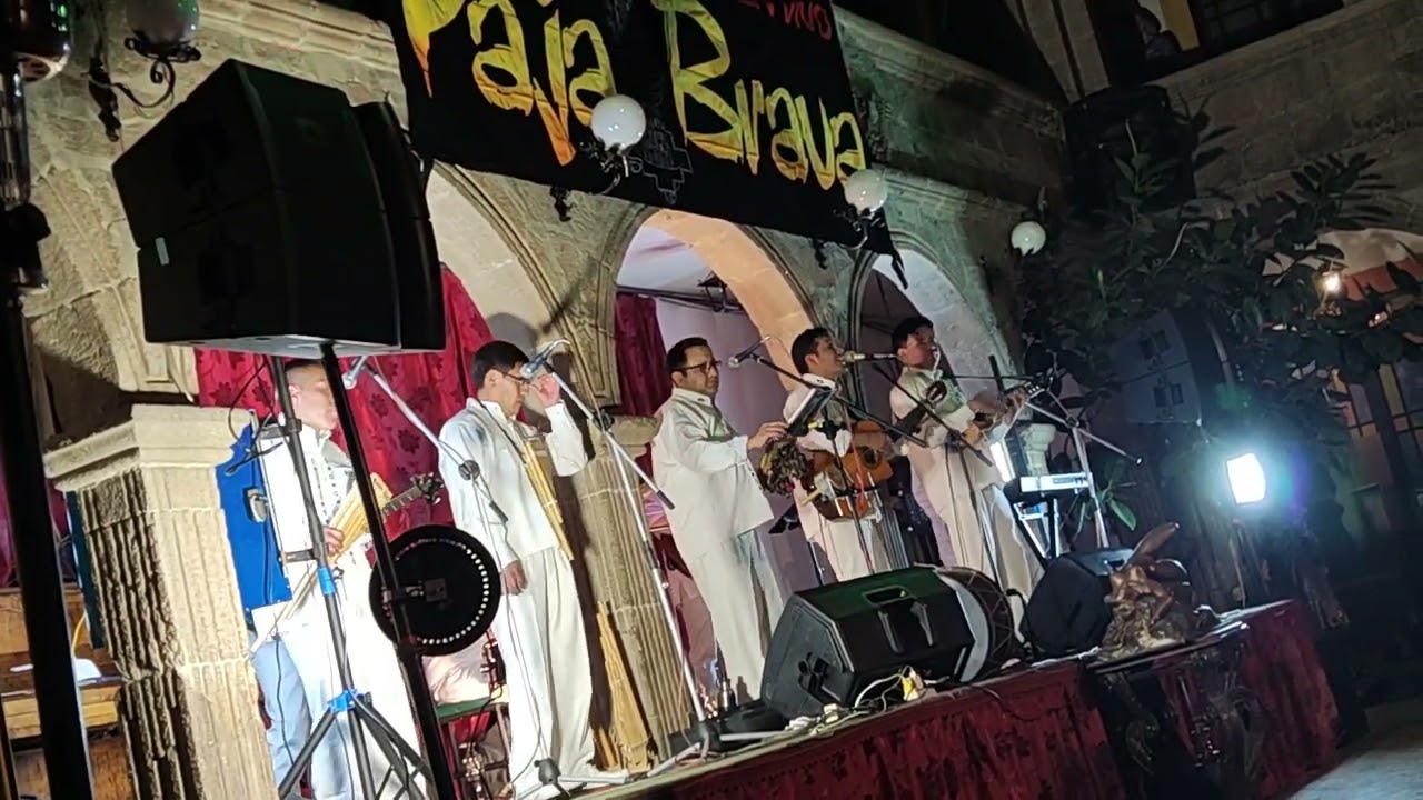 PAJA BRAVA BUENA SUERTE