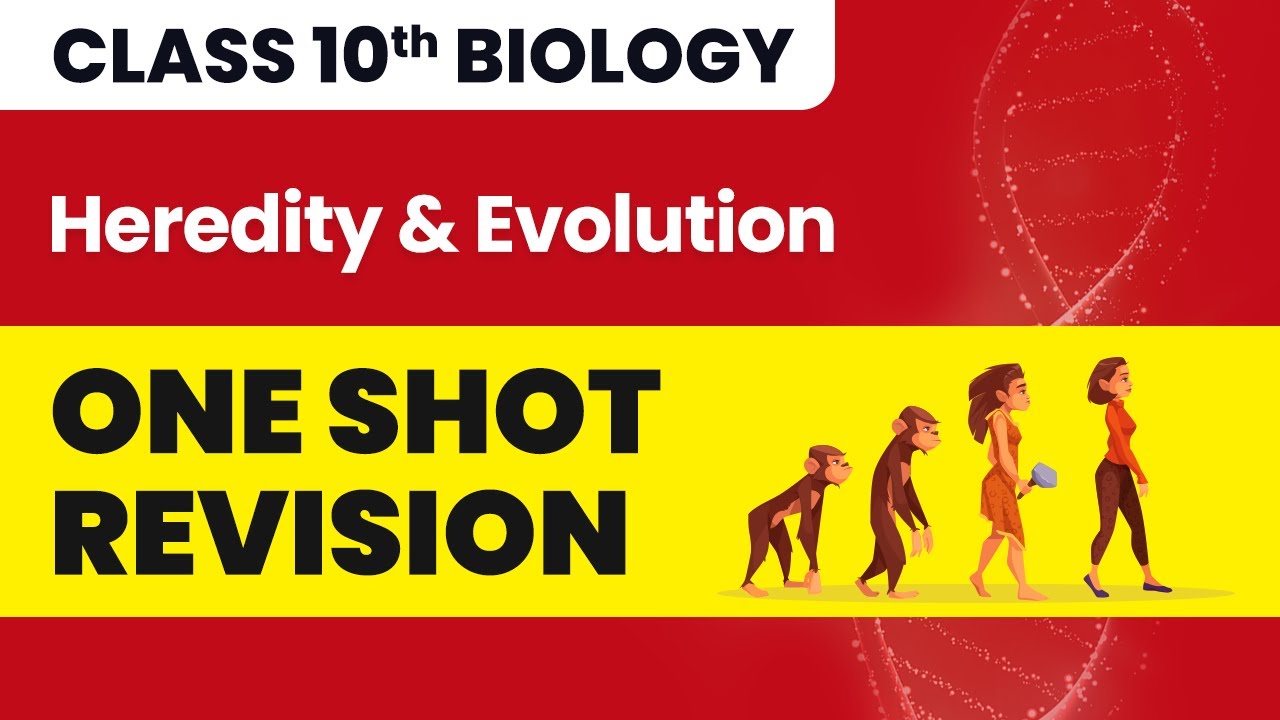 Class 10 Biology Chapter 9 | Heredity and Evolution - One Shot Full Chapter Revision 2022-23