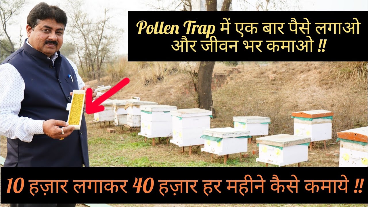 10 हज़ार रुपये में कमाये 40 हज़ार हर महीने || Bee Pollen || Successful Farmer || Hello Kisaan