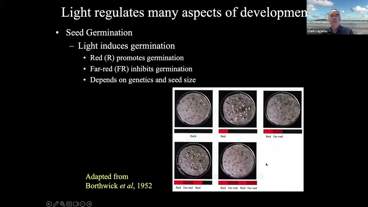 How plants see by Dr. John Clark Lagarias, UC Davis