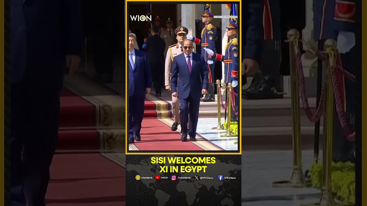 Xi-Sisi Talks Signal Deeper China-Egypt Partnership | WION Shorts