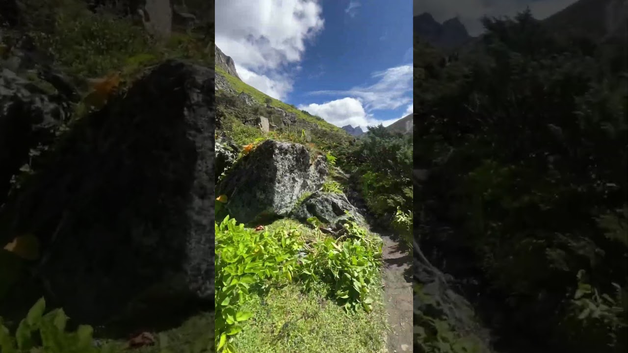 #solotrek  #travel #travel #nature #youtubeshort