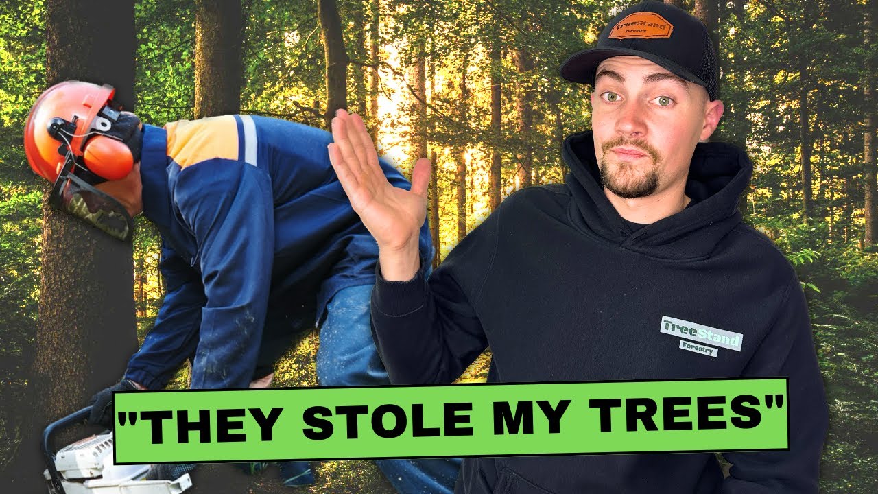 6 ways to not get SCAMMED by loggers