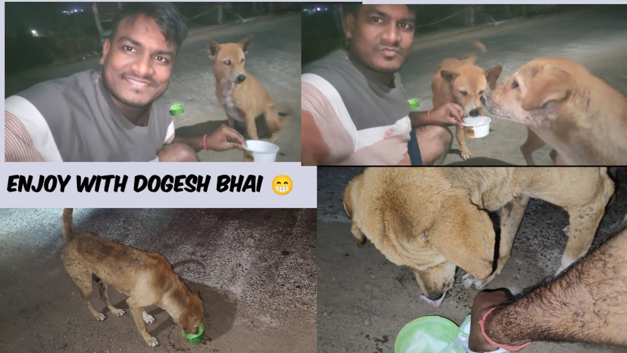 Dogesh Bhai ସହିତ ଗୋଟେ ଖୁସି ମୁହୁର୍ତ 😀