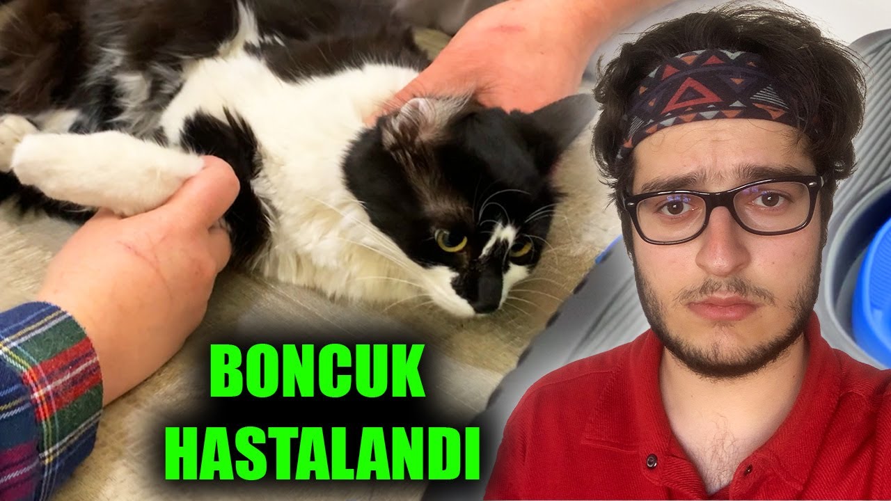 KEDİM BONCUK HASTALANDI ! ATEŞİ VAR (Kedi Ateşi Nasıl Düşürülür ?)