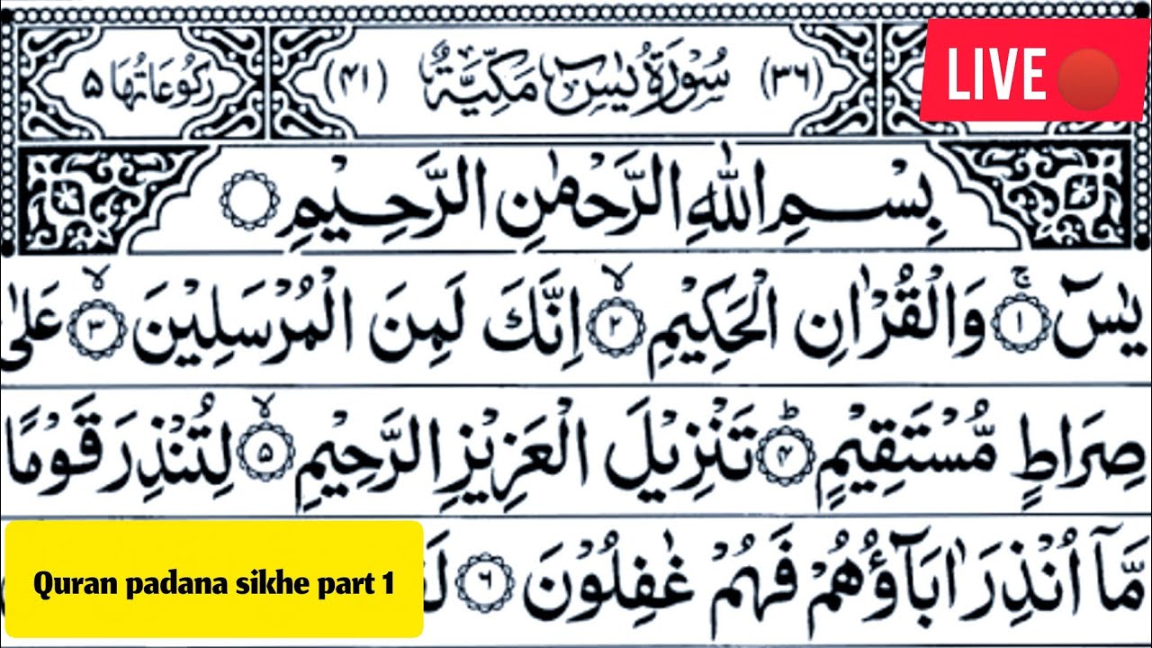 Live 🔴 islamic study 24