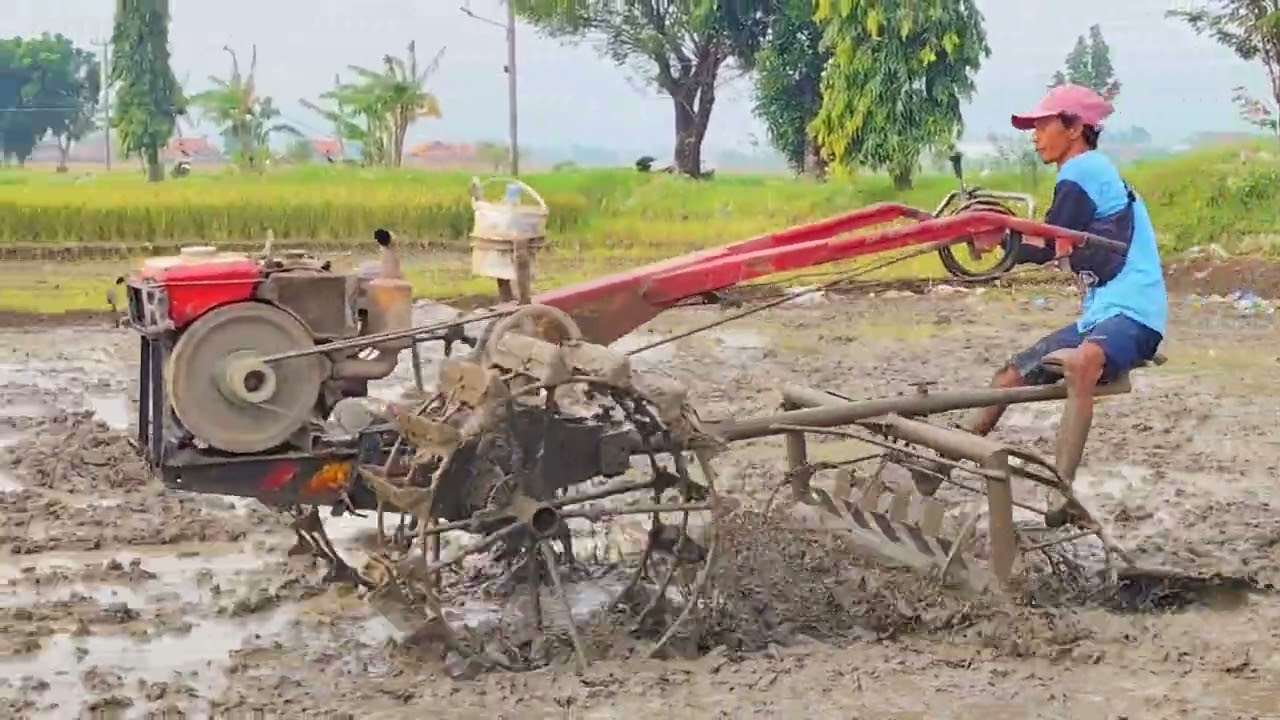 TRAKTOR CIREBON EXPLORE MAIN GLEBEK SATU PETAK TANAH SAMPAI MATANG