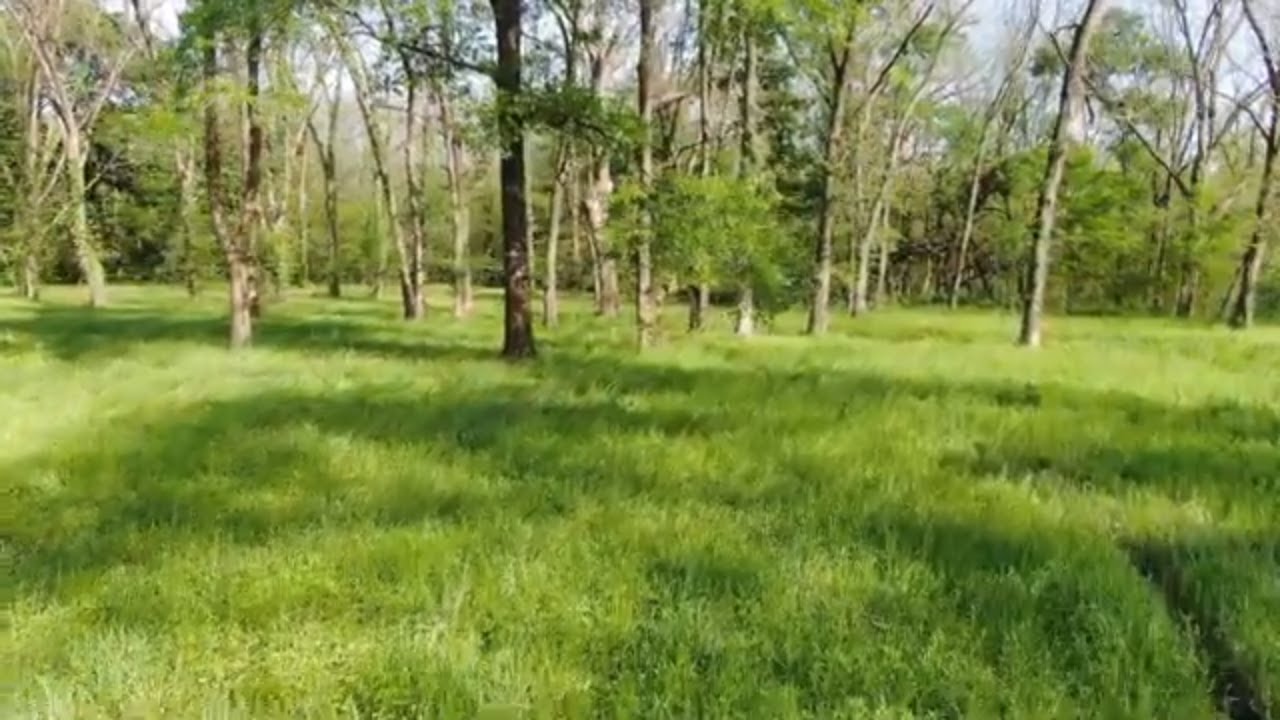 1,511 acre Delta County Hunting Ranch for Sale - $2,345 per acre
