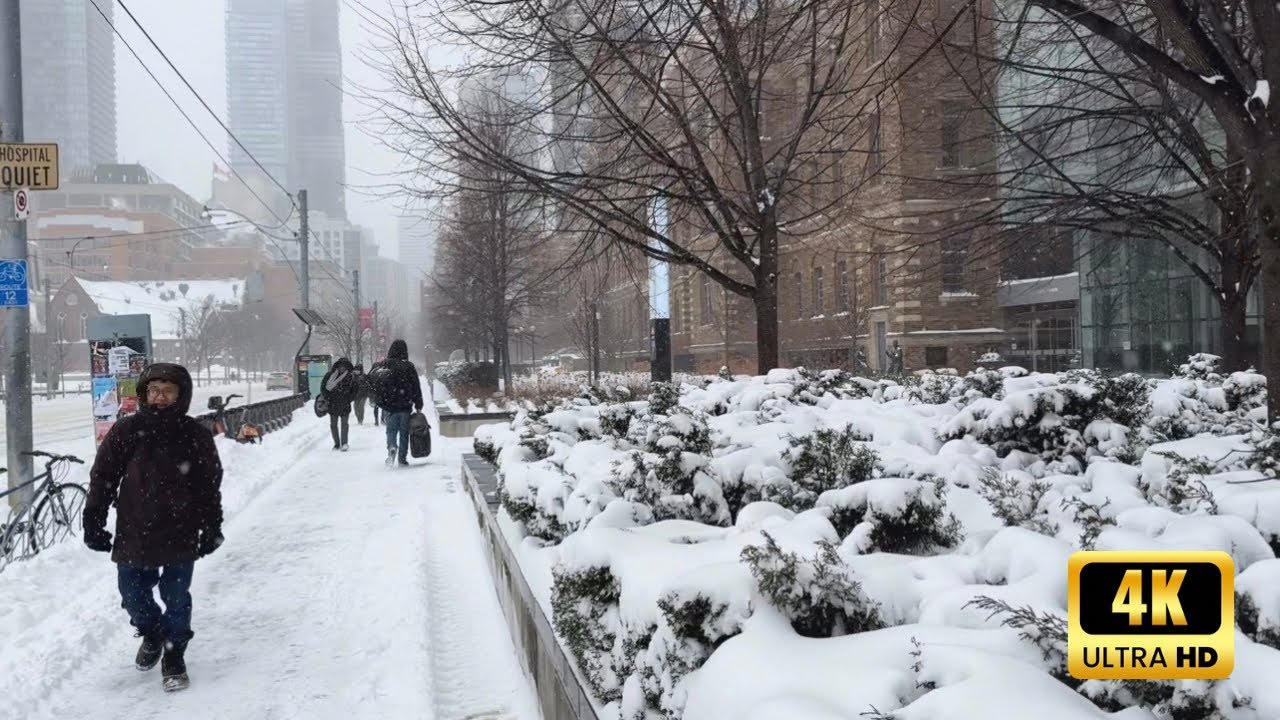 🥶🥶🥶Extreme snowstorm Downtown Toronto Canada 🇨🇦 