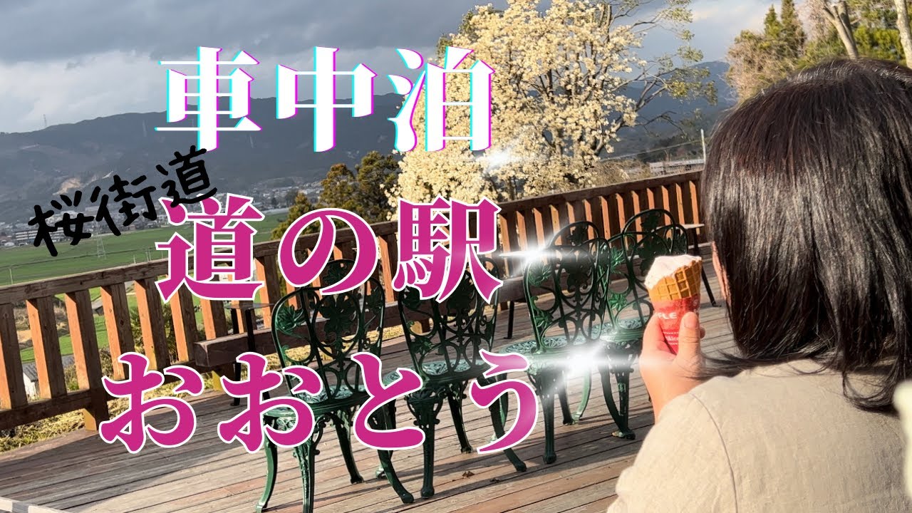 [車中泊] キャンピングカーでドライブ動画、道の駅 おおとう 桜街道 ★うきは #車中泊 #ワンコとドライブ #犬と散歩  #キャンピングカー  #ハイエース #道の駅