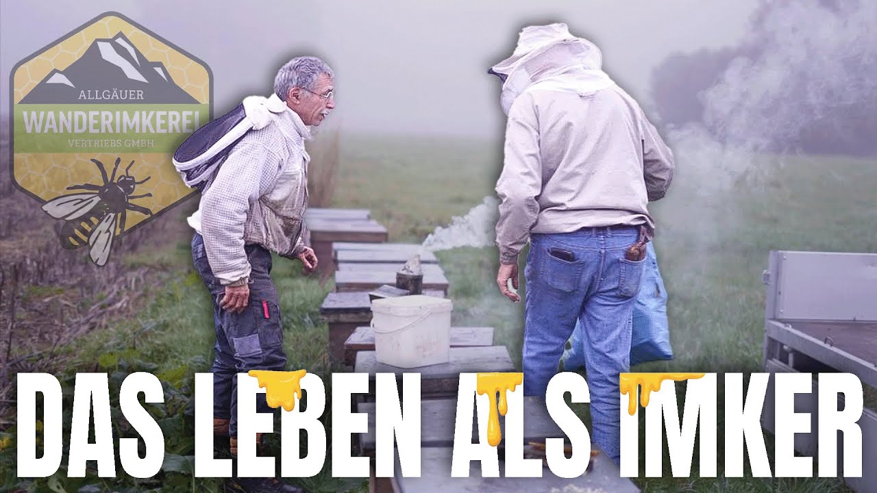 Ein Einblick in das Leben eines Imkers