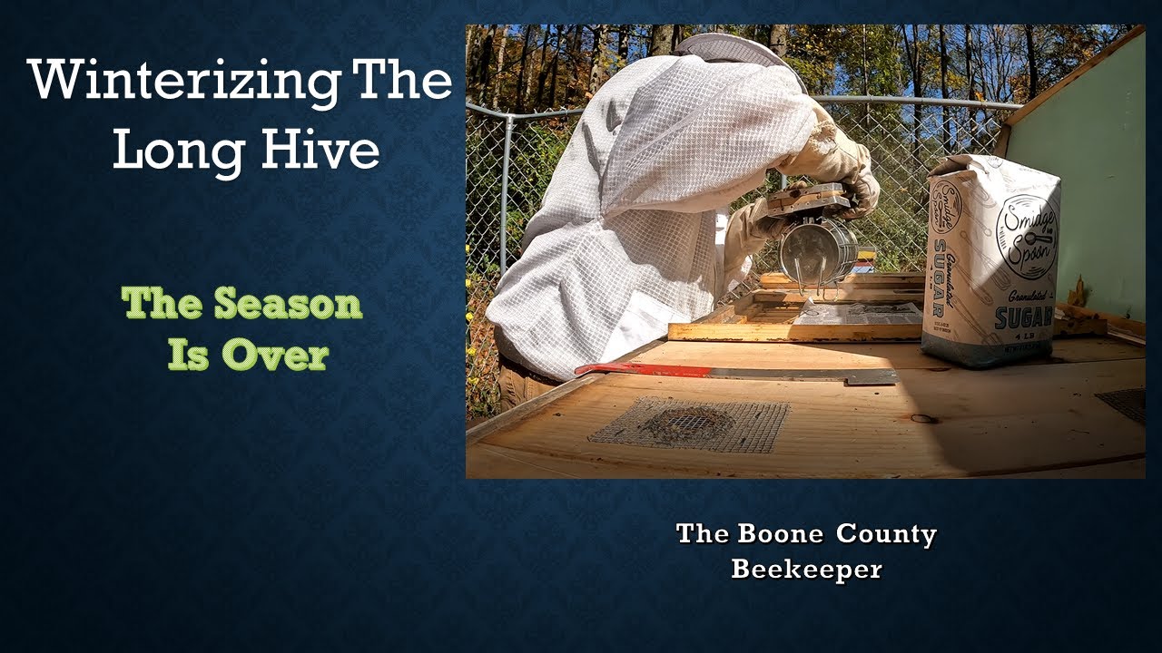 Winterizing The Long Hive