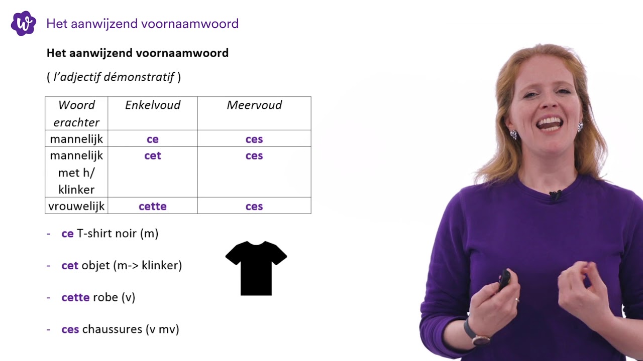 AANWIJZEND VOORNAAMWOORD FRANS - uitleg door Frans docent Joël.