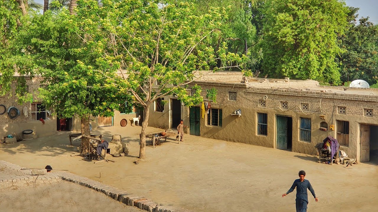 Daily Lifestyle In Punjab | Pakistan Village Rural Life