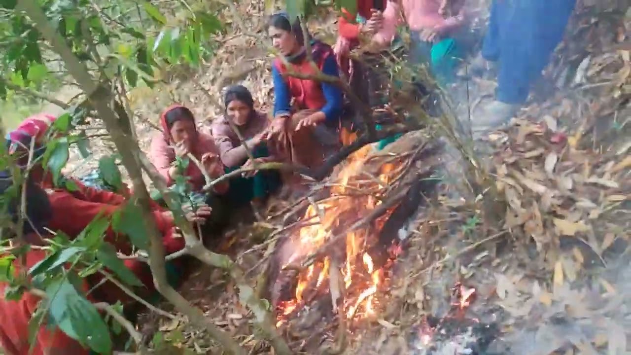 हमारी आज की मस्ती 😂😂स्वहा 🌿🔥