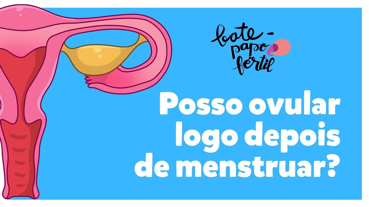 Ovular logo depois da menstruação? BATE-PAPO FÉRTIL EP#08