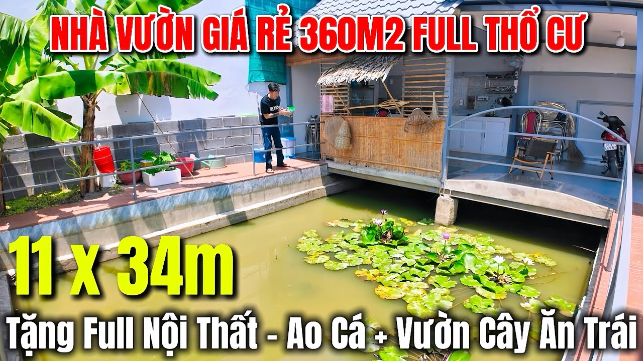 NHÀ VƯỜN GIÁ RẺ VÙNG VEN BÌNH CHÁNH , rộng 360m2 full thổ cư đầy đủ nhà + ao + vườn cây ăn trái 