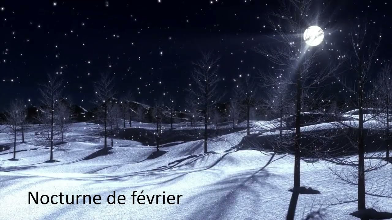 Nocturne de février (Claude Lachapelle)