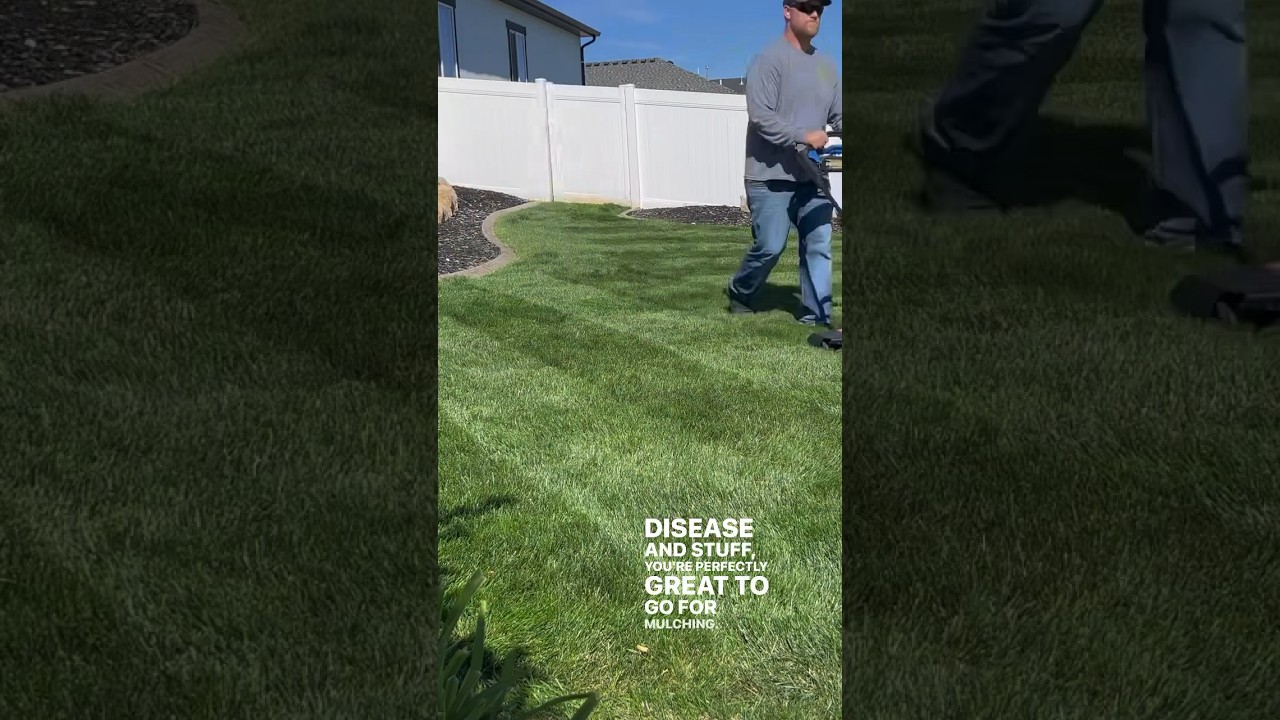 WHEN And WHY To Mulch Your Lawn #mulching