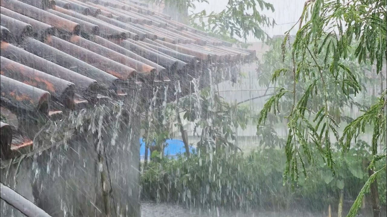 The Ultimate Rainstorm 🌧️ Deep Healing & Restful Sleep 🌧️