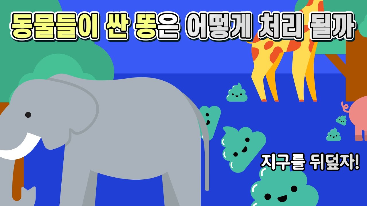 동물들이 싼 똥은 어떻게 처리 될까(하수처리장도 없는데..)