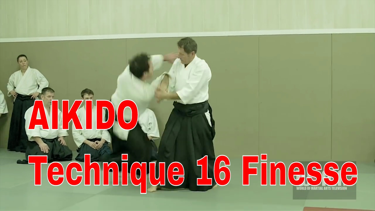 Aikido Technique 16 Finesse Christian Tissier