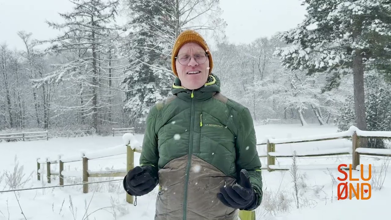 Begrænsninger sætter krav til at anvise og ikke afvise