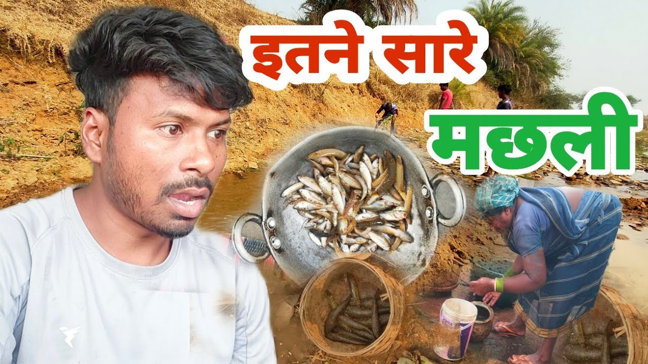 इतना बड़ा  मछली || dailivlog