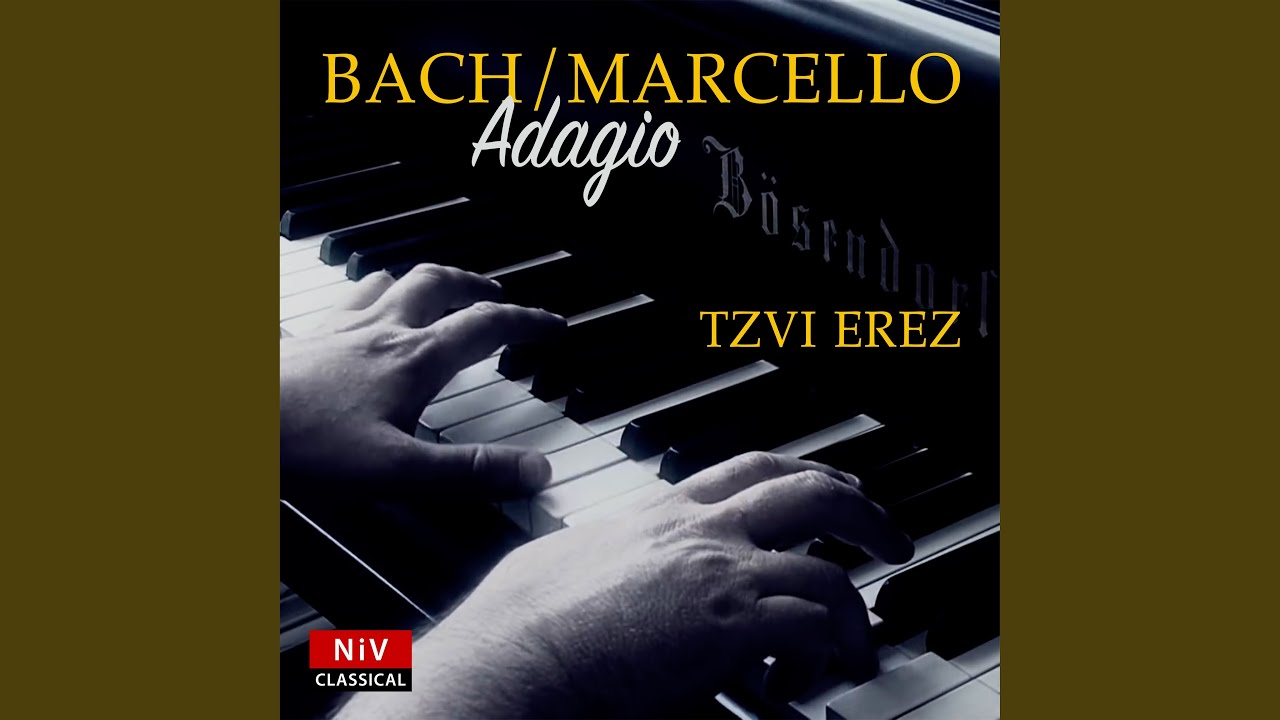 Concerto in D Minor (After Alessandro Marcello) , BWV 974: II. Adagio