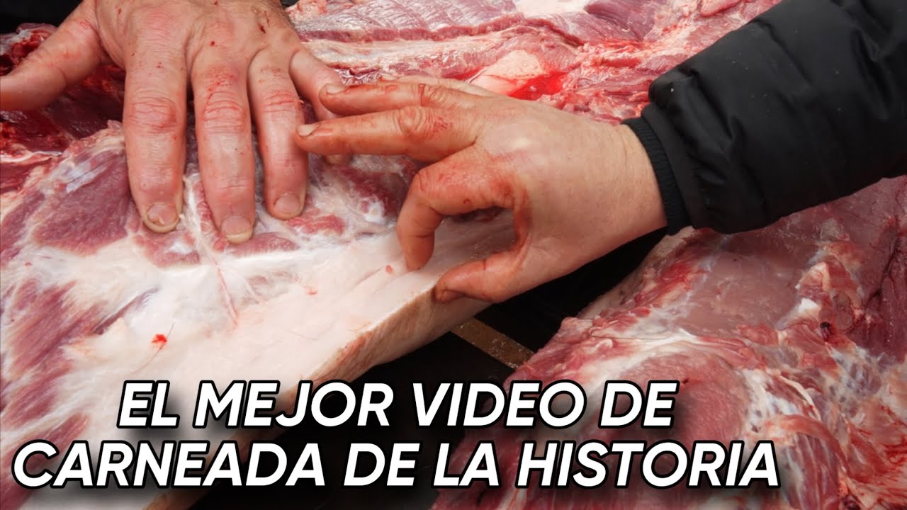 CARNEADA DE CERDO | COMO HACER CHORIZO, SALAME, MORCILLA, QUESO DE CERDO, GUANCIALE Y MORTADELA