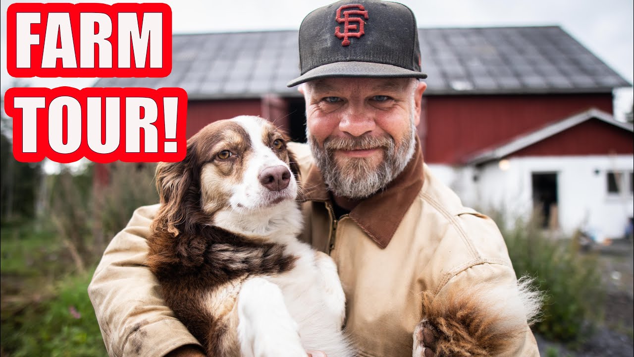 All The Animals In One! CHICKEN, PIG, SHEEP, LAMB, DUCK, HEN, DOG, CAT