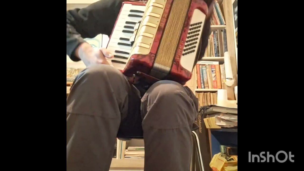 Acordeon 